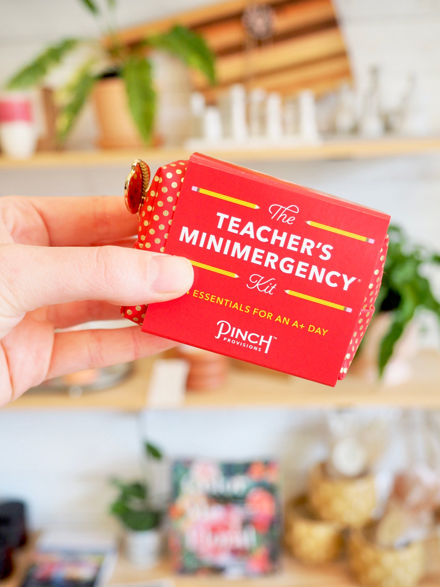 Teacher's Mini-mergency Kit from Pinch