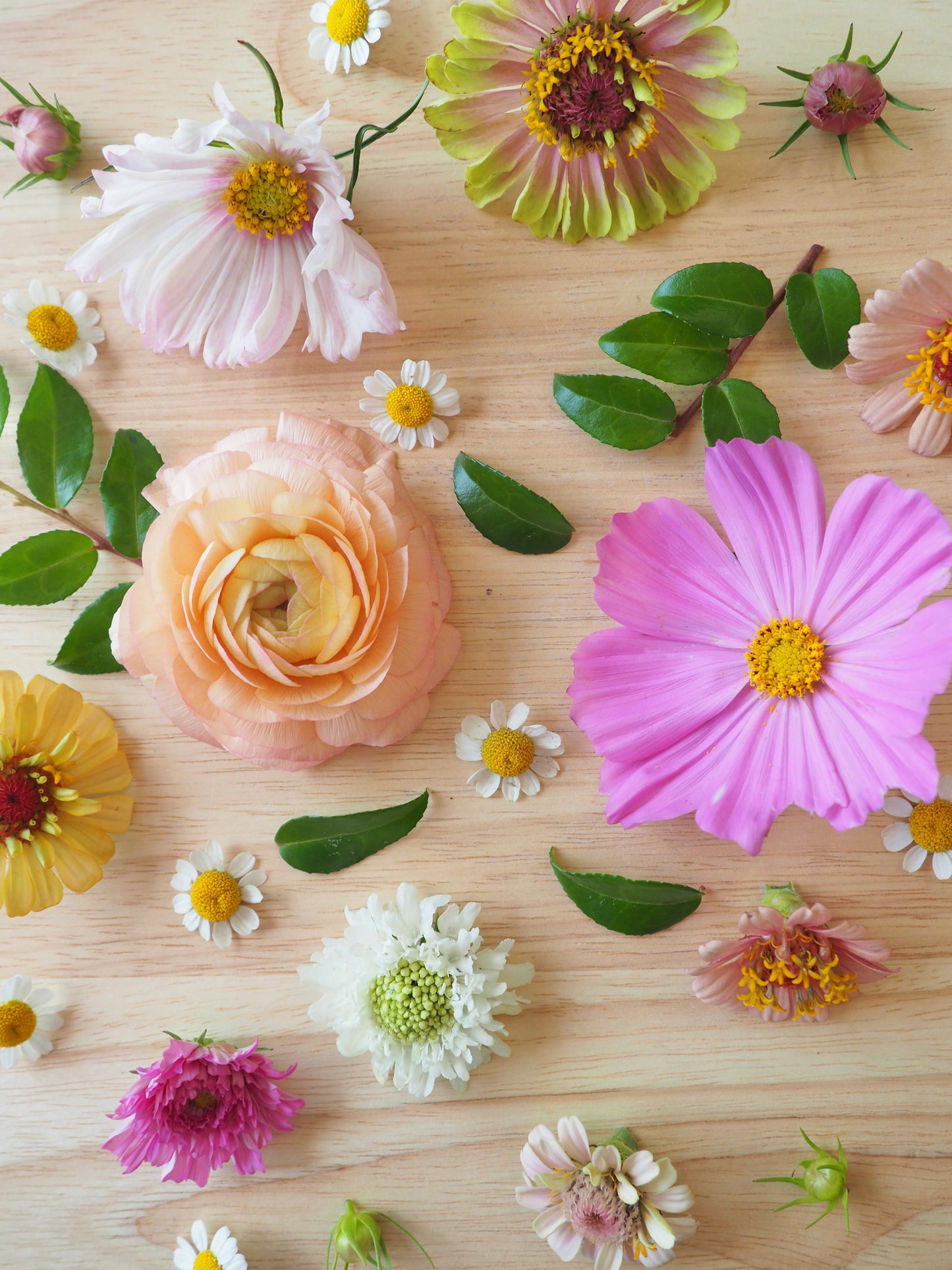 Cake Decorating Flowers
