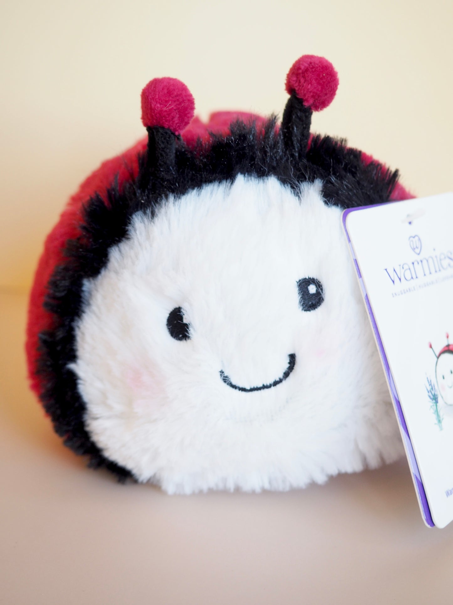 Lady Bug Warmie