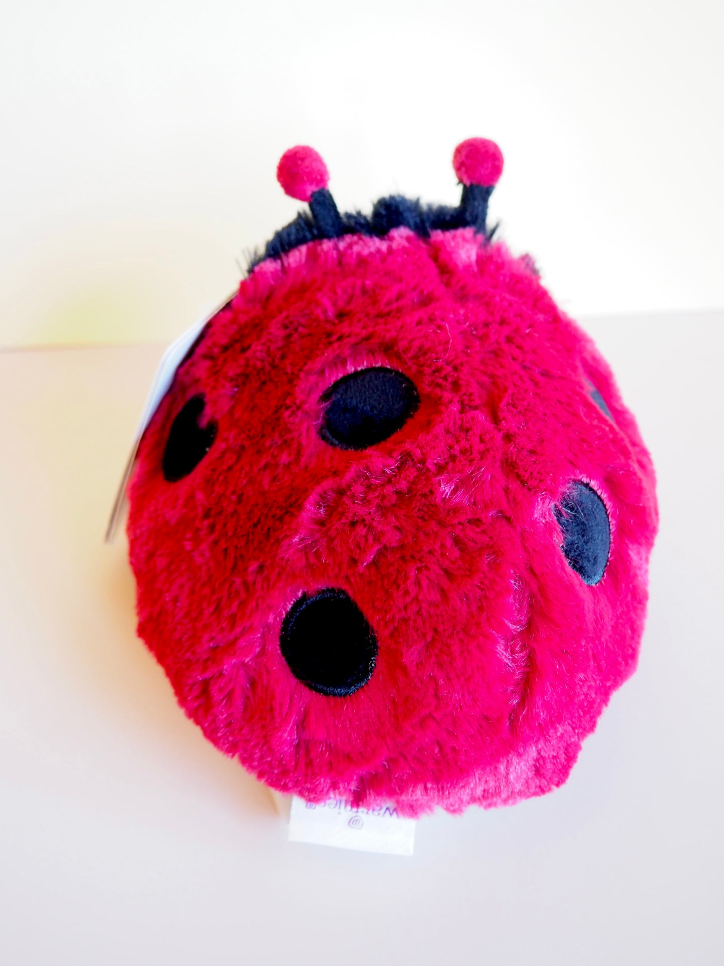 Lady Bug Warmie